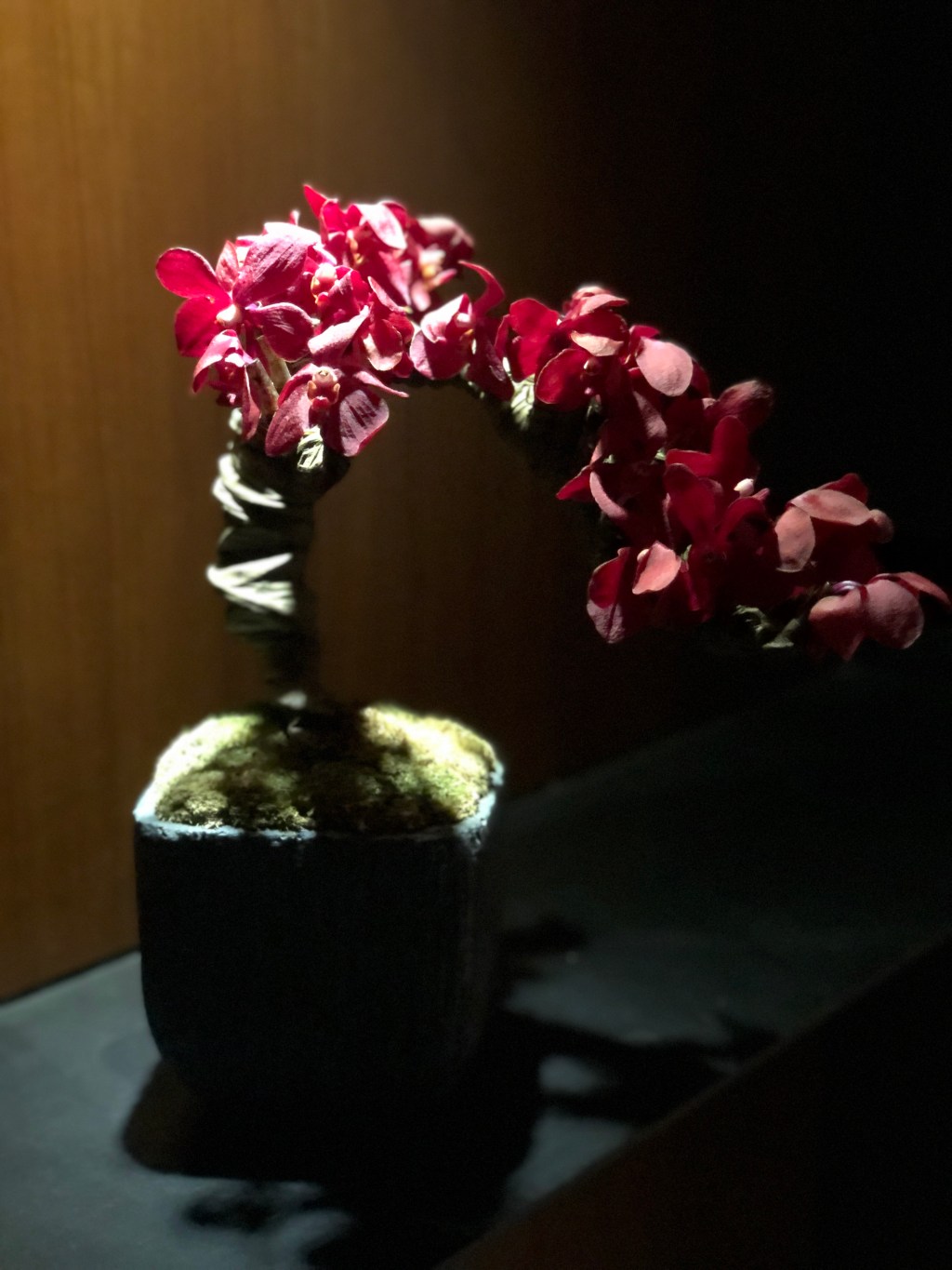 Selling loyalty poorly…