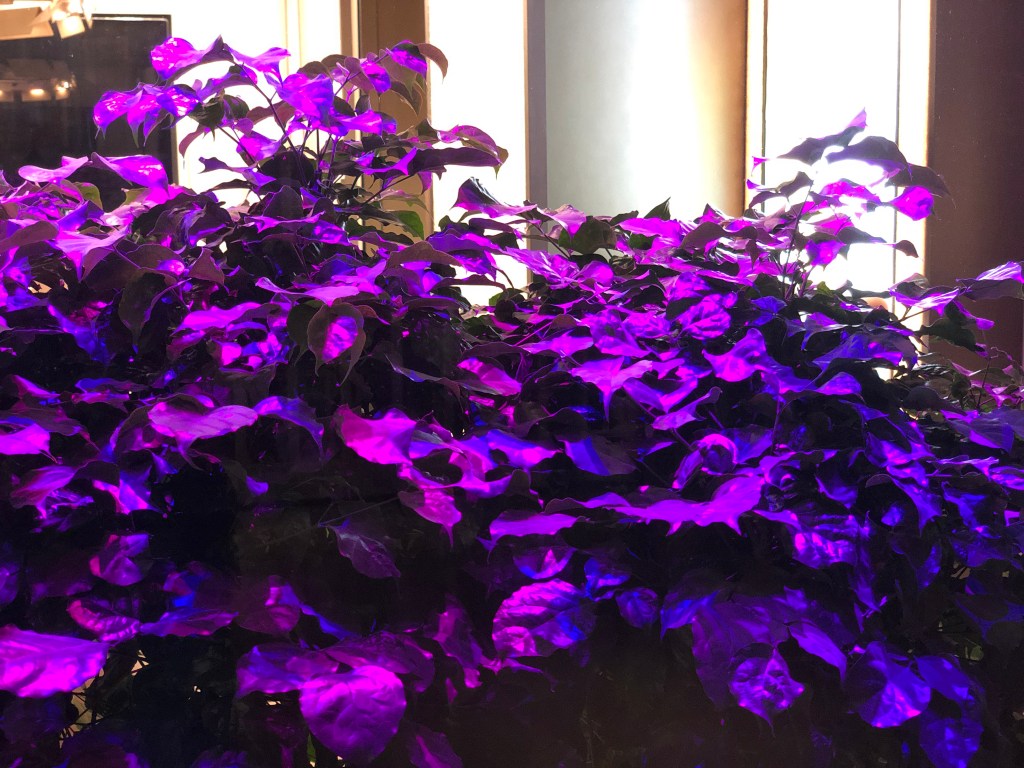 3 actions to start the day when not in the&nbsp;mood!