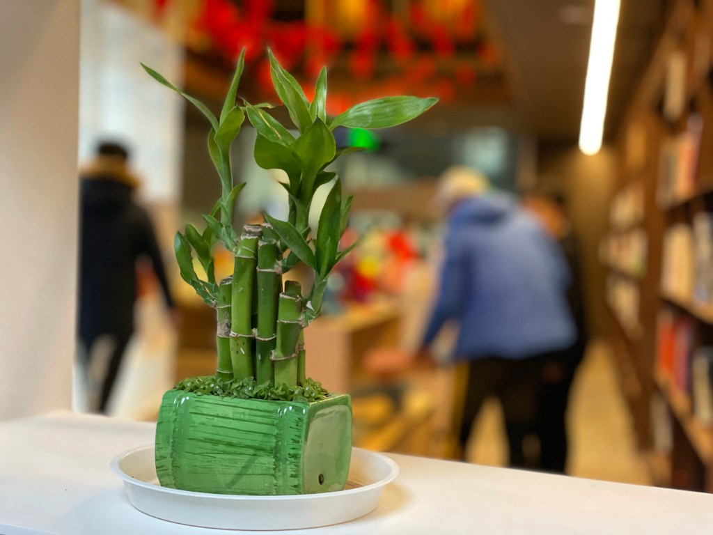 A day of distance and&nbsp;distractions.