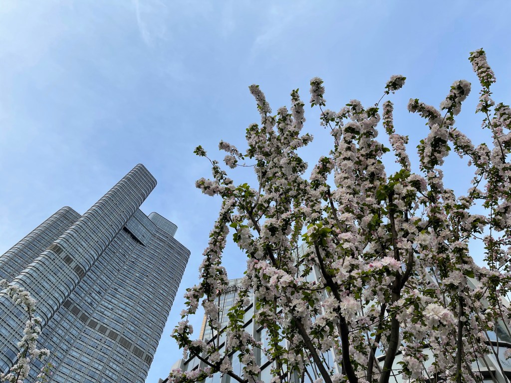 The beauty of art and an inspirational&nbsp;teacher.