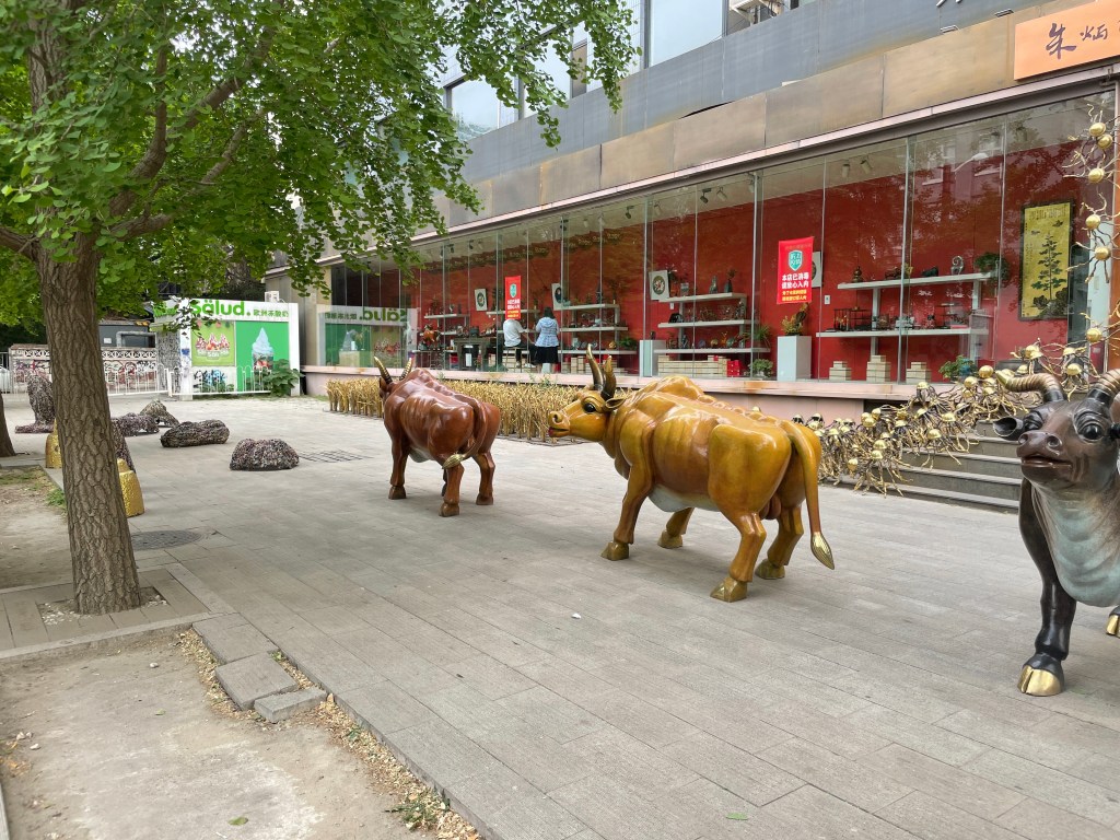 The armour of&nbsp;competencies!