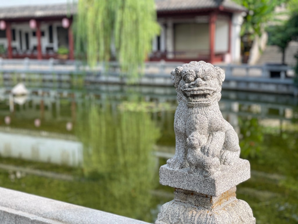 So much to learn, but what to ask for&nbsp;help?