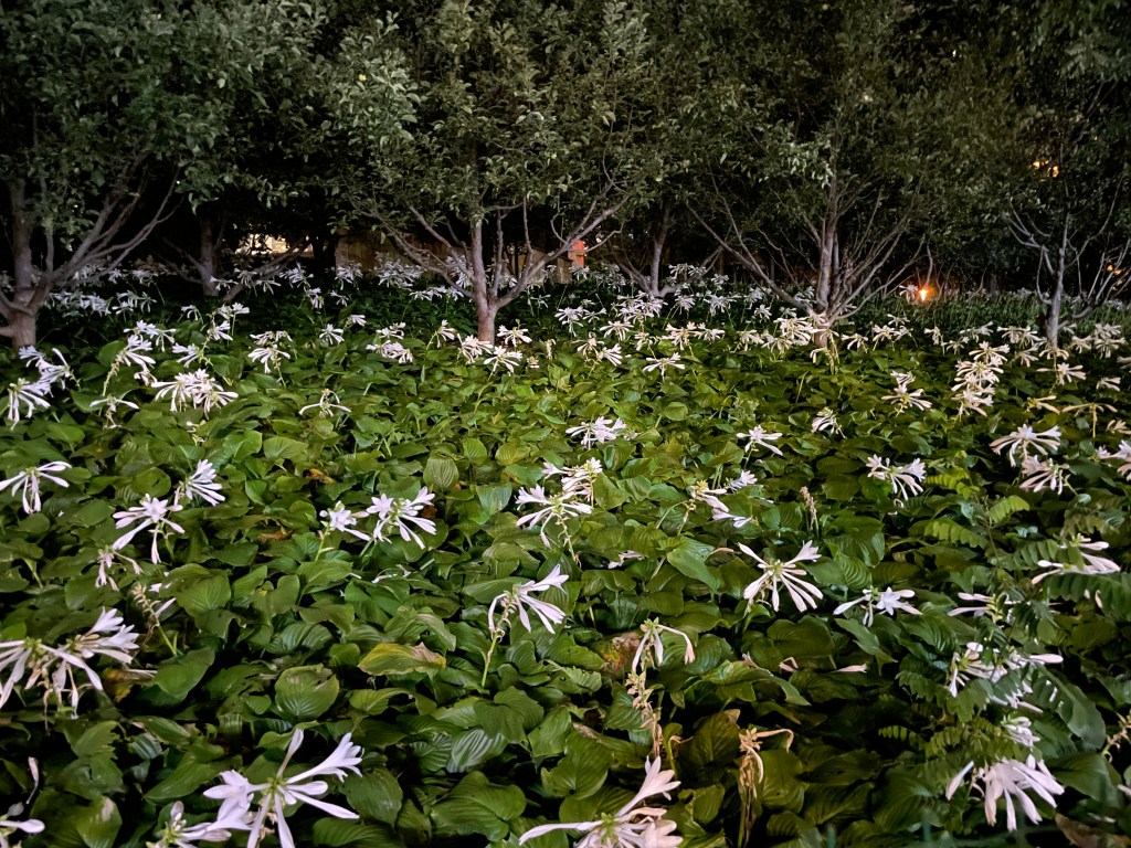 How I manage my struggle with Time&nbsp;Anxiety!