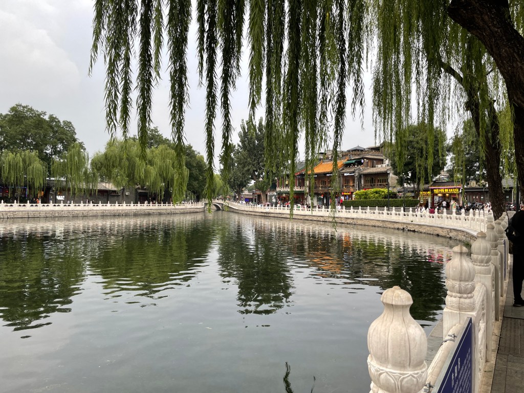 Two ears one&nbsp;mouth!!