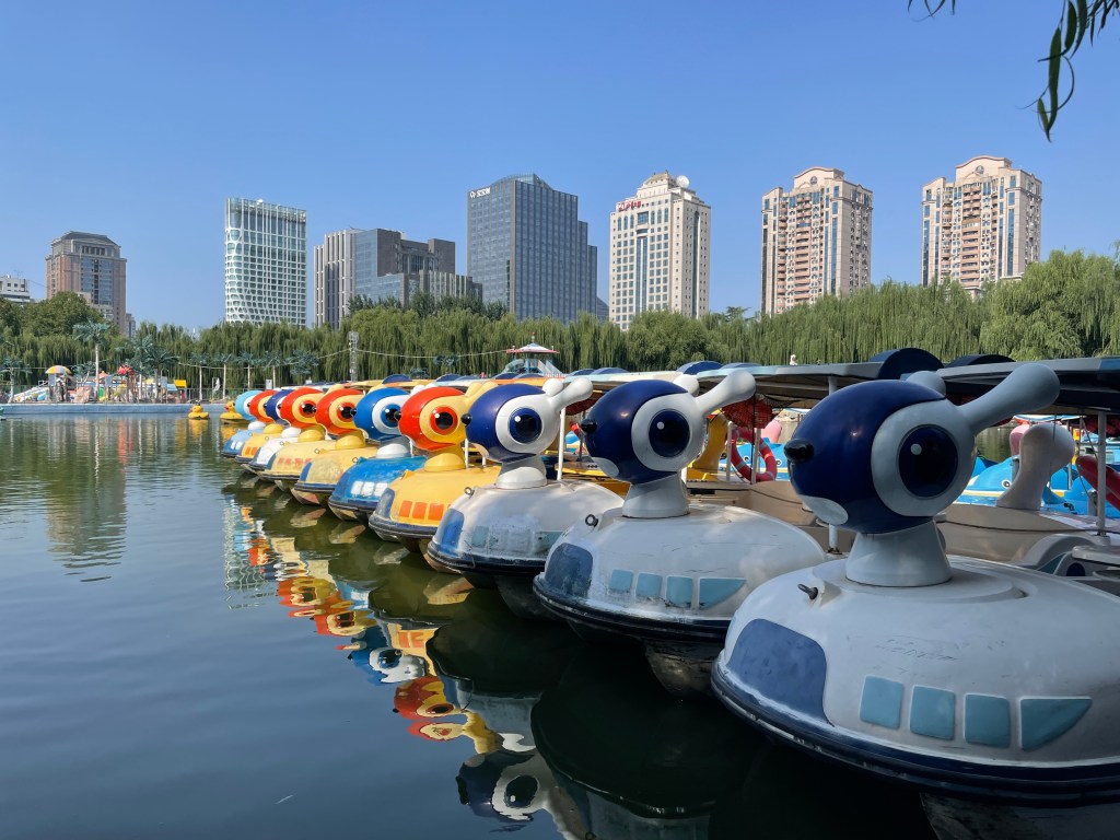 So, the meaning of&nbsp;life!!