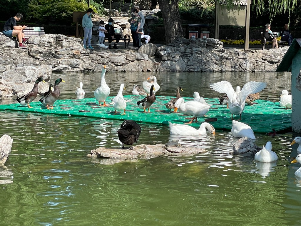 7 tips for the ‘new’ in-person office&nbsp;meetings!!